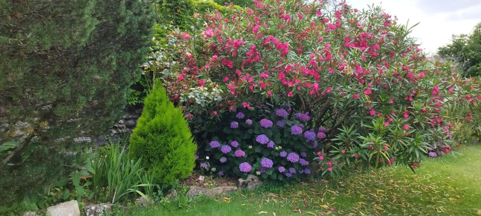 Gite 5 "Le Laurus" Aux Magnolias Aubenas Dış mekan fotoğraf